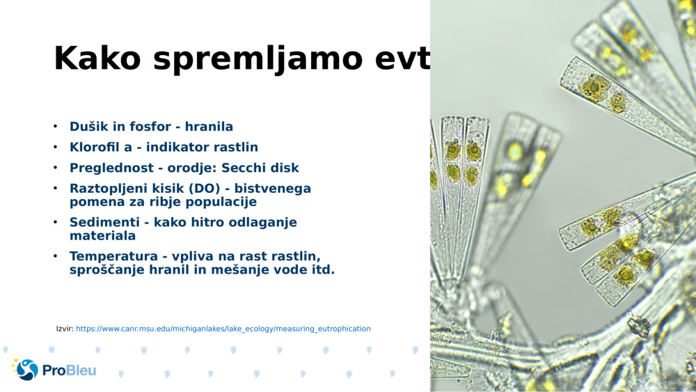 Kako spremljamo evtrofikacijo?