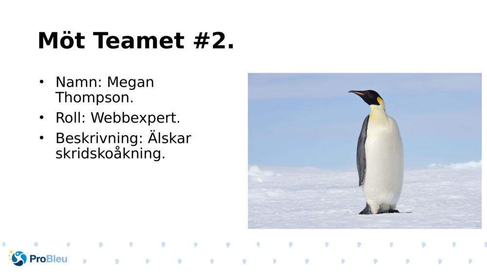 Möt Teamet #2.