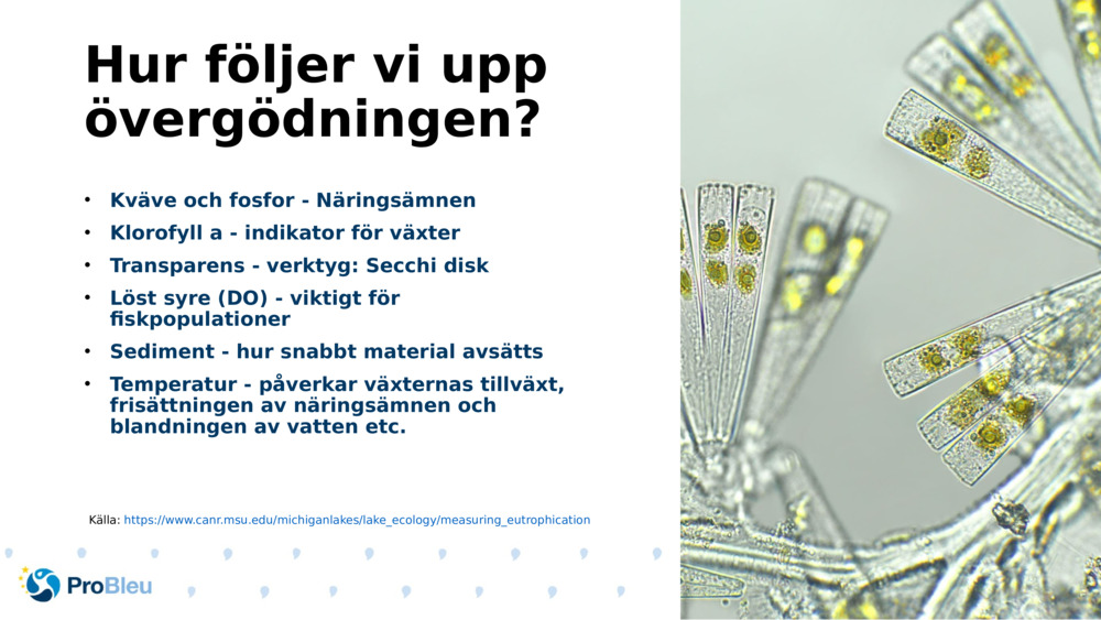 Hur följer vi upp övergödningen?