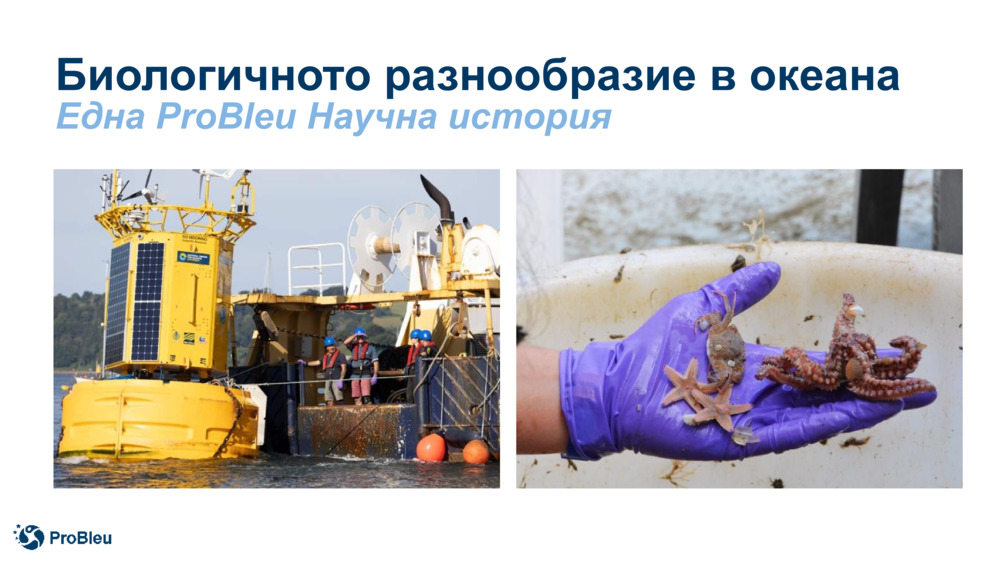 Биологичното разнообразие в океана