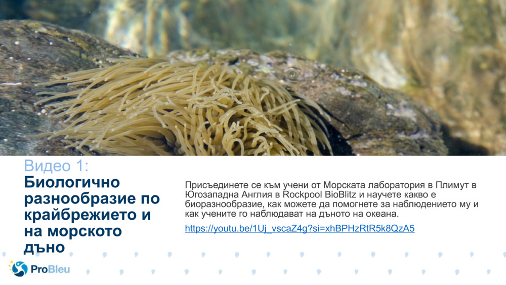 Тестер за бионаучни истории