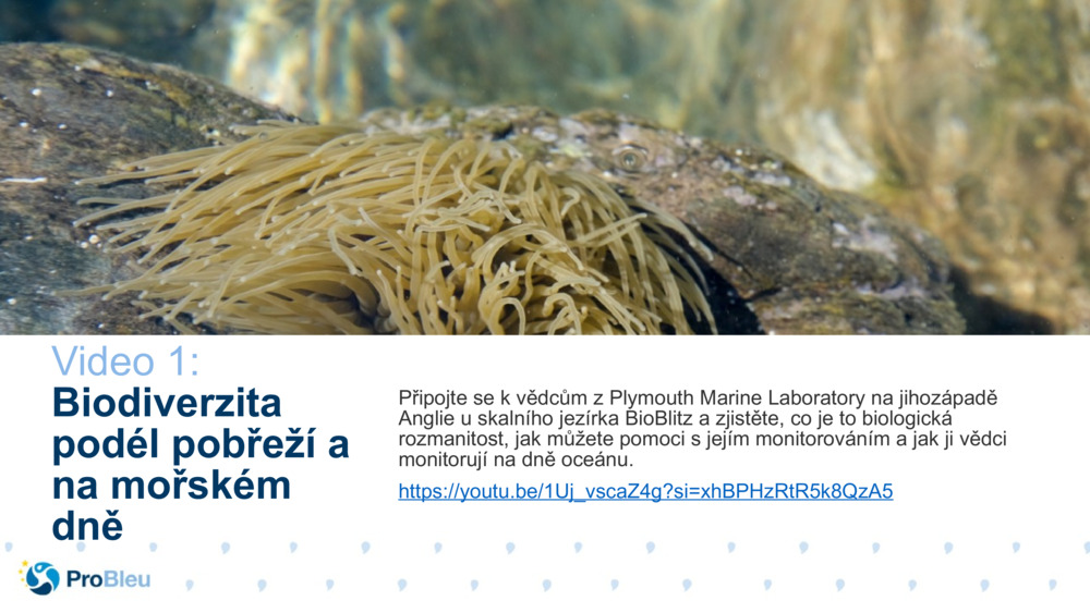 Tester biologických vědeckých příběhů