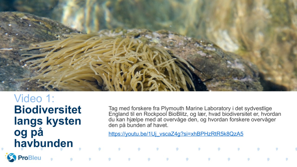 Bio Science Story Tester