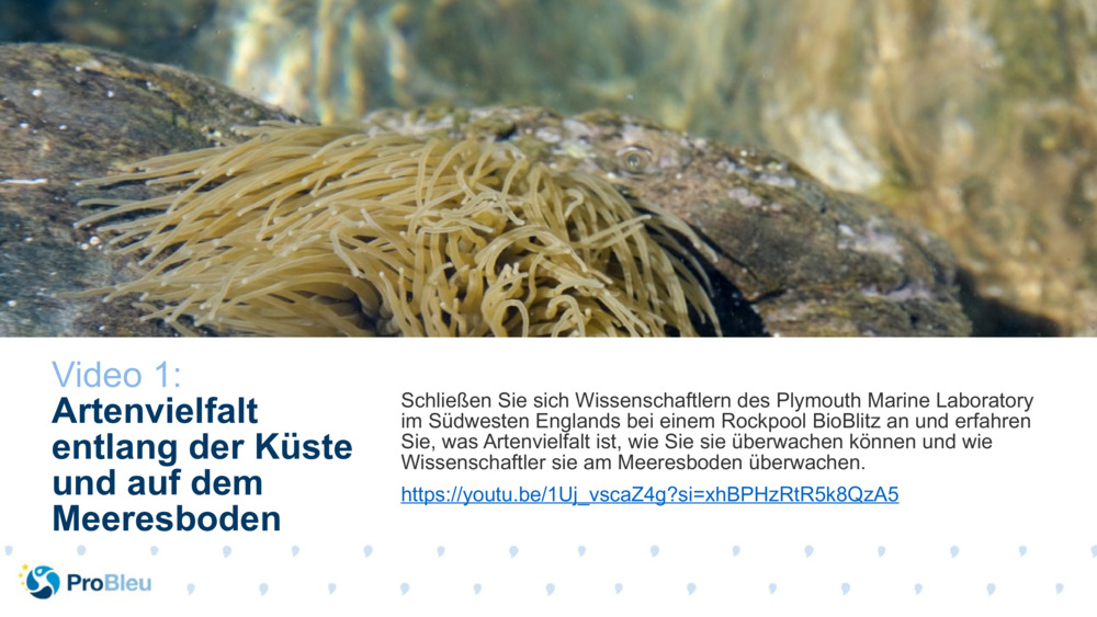 Bio Science Story Tester