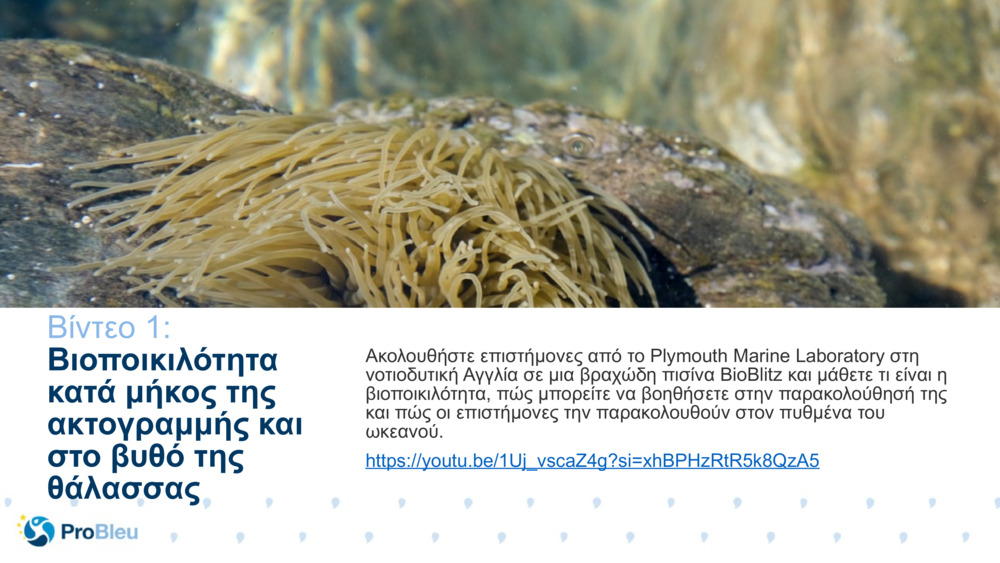 Δοκιμαστής ιστορίας βιο επιστήμης