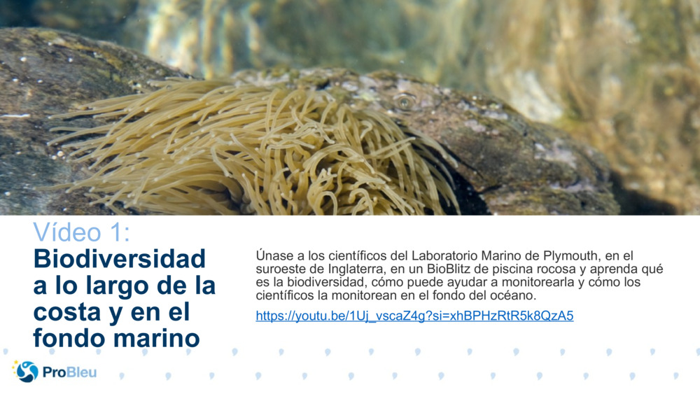 Probador de historias de biociencia