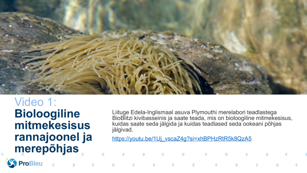 Bioteaduse lugude testija