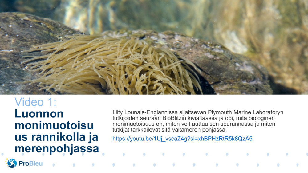 Biotieteen tarinatestaaja