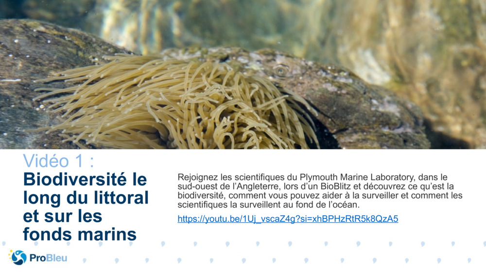 Testeur d’histoires Bio Science