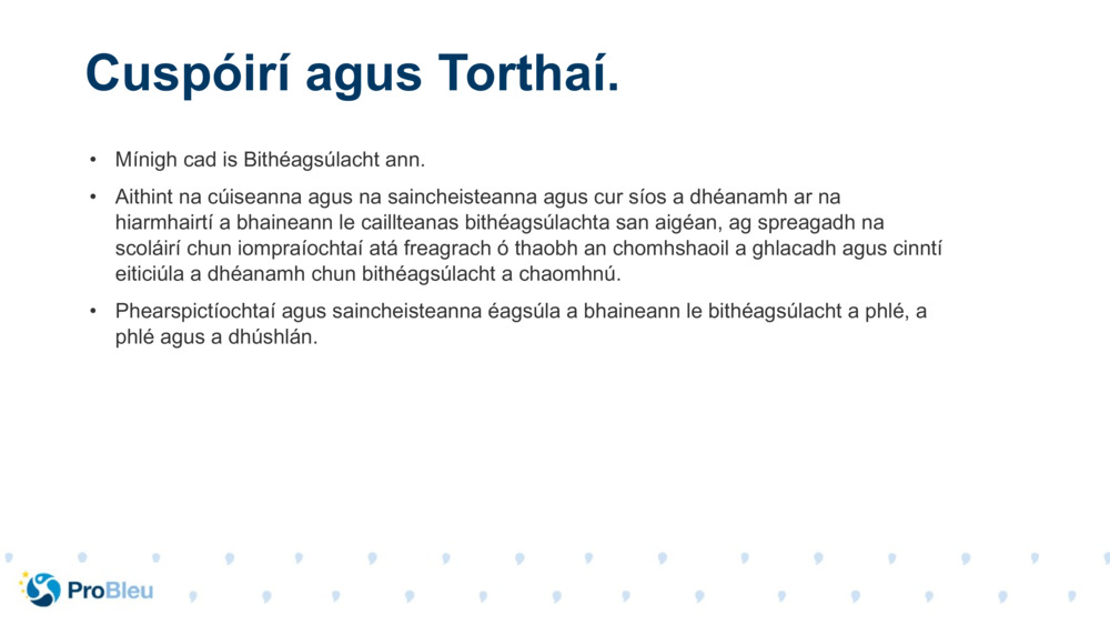 Mínigh cad is Bithéagsúlacht ann.