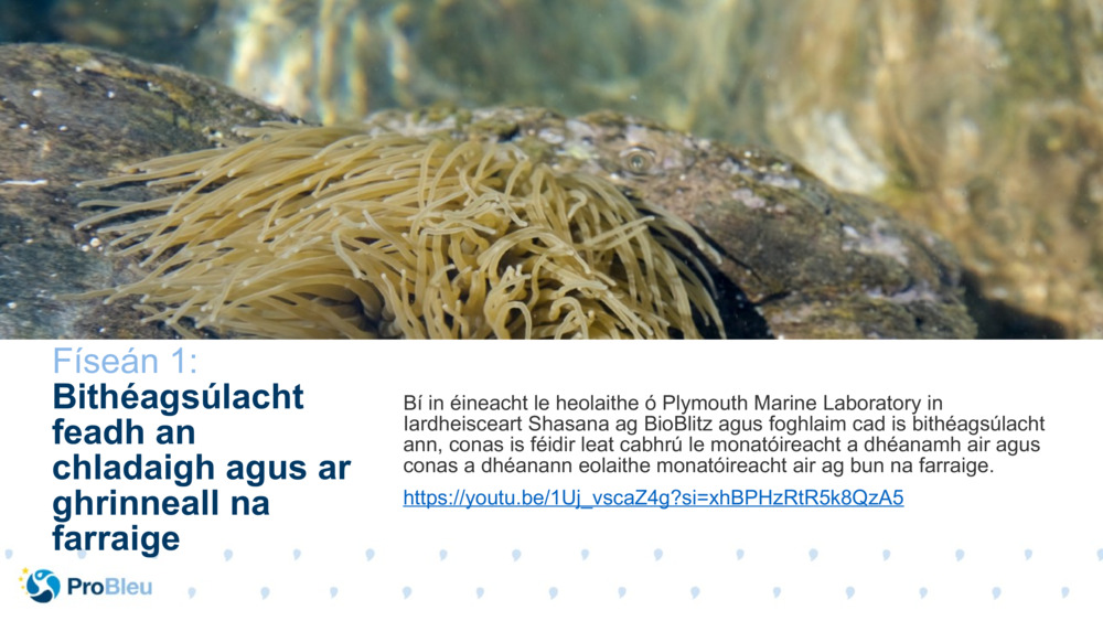 Tástálaí Scéal Bitheolaíochta