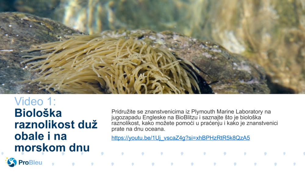 Ispitivač priča o bioznanosti