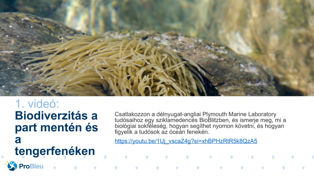 Bio Science Story Tester