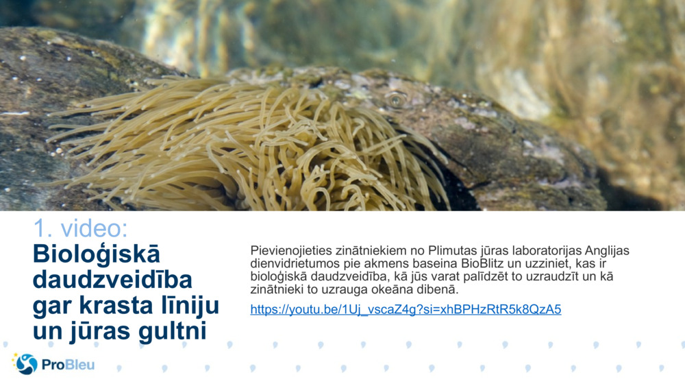 Biozinātnes stāstu testētājs