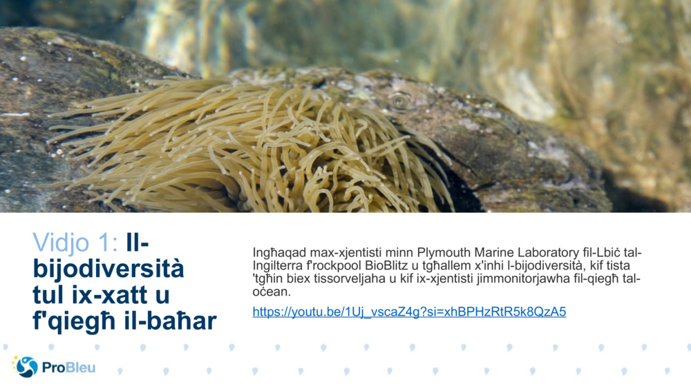 Tester tal-Istorja tax-Xjenza Bijoloġika