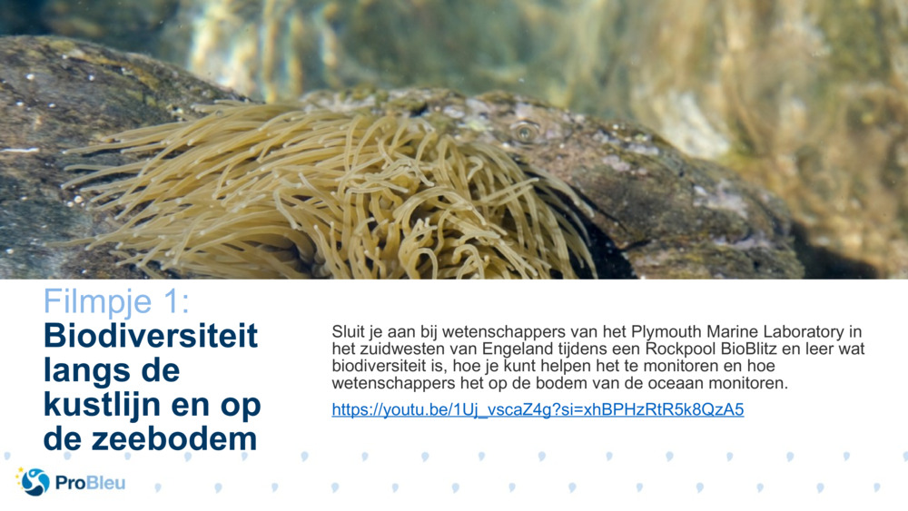 Bio Wetenschap Verhaal Tester