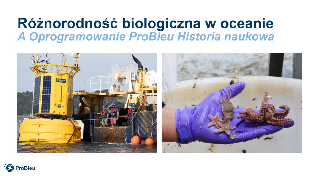 Różnorodność biologiczna w oceanie