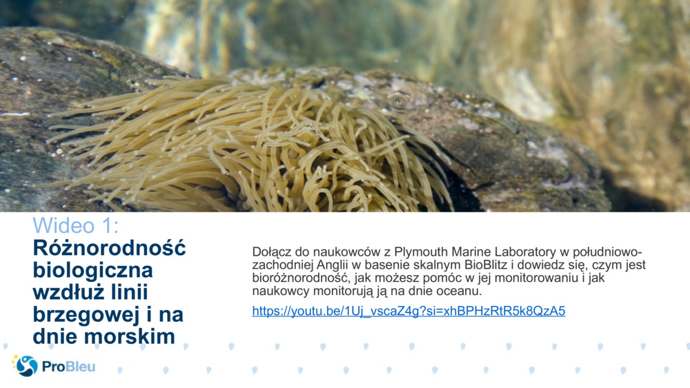 Tester historii biologicznych