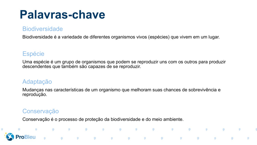 Palavras-chave