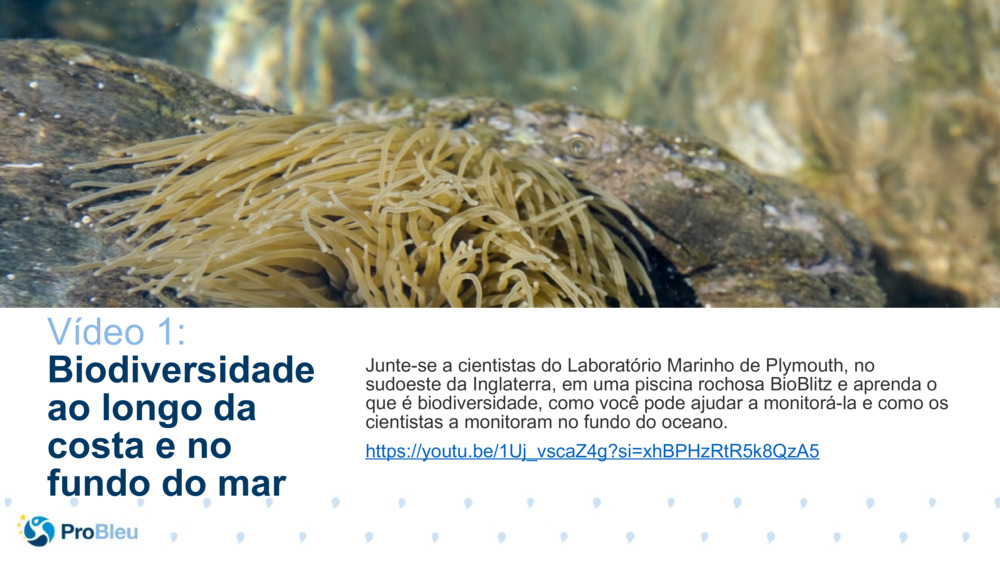 Testador de histórias de biociência