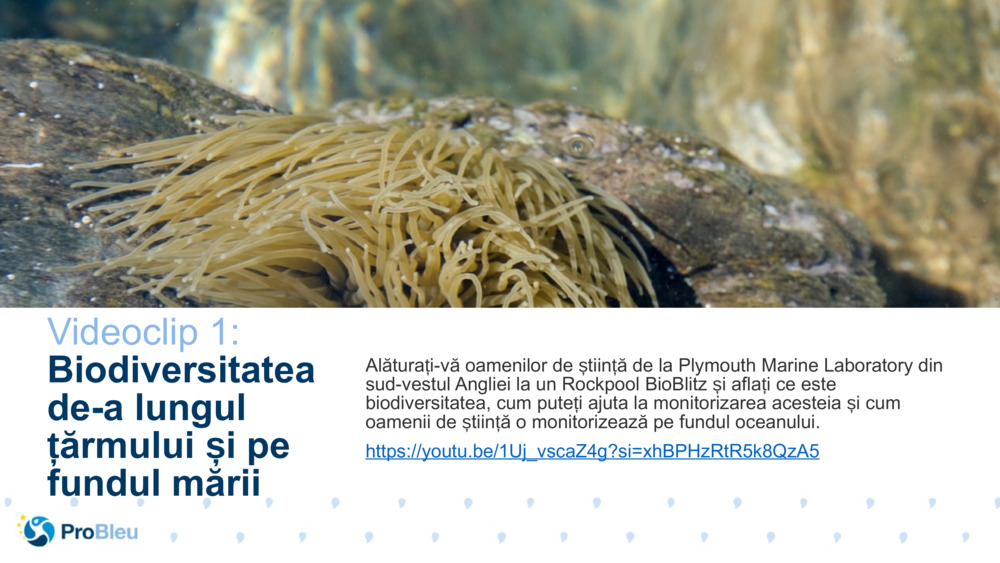 Tester de povești bioștiințifice