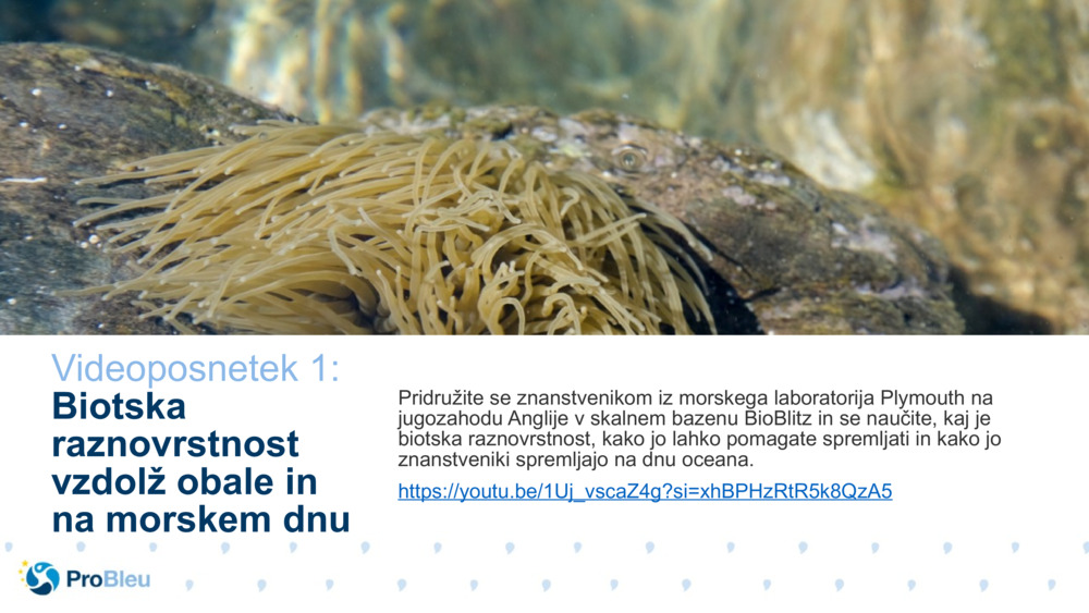 Preizkuševalec zgodb o bioznanosti