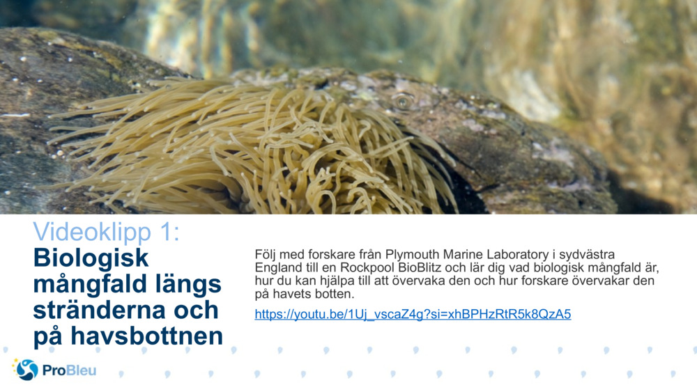 Bio Science Story Tester