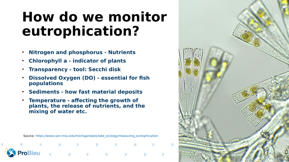 How do we monitor eutrophication?