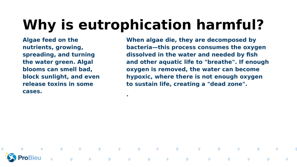 Why is eutrophication harmful?
