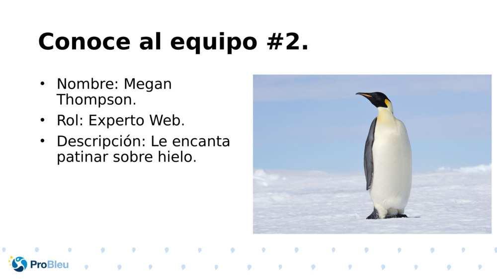 Conoce al equipo #2.