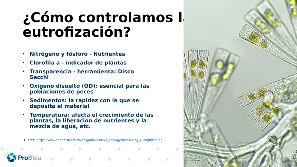 ¿Cómo controlamos la eutrofización?