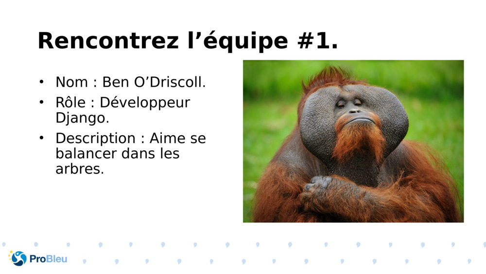 Rencontrez l’équipe #1.