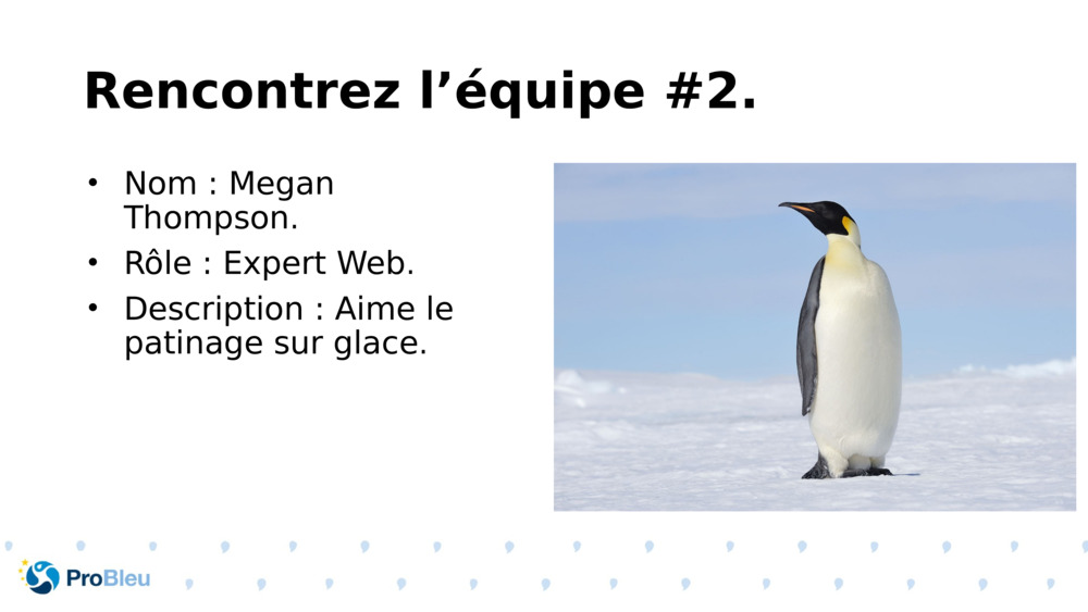 Rencontrez l’équipe #2.