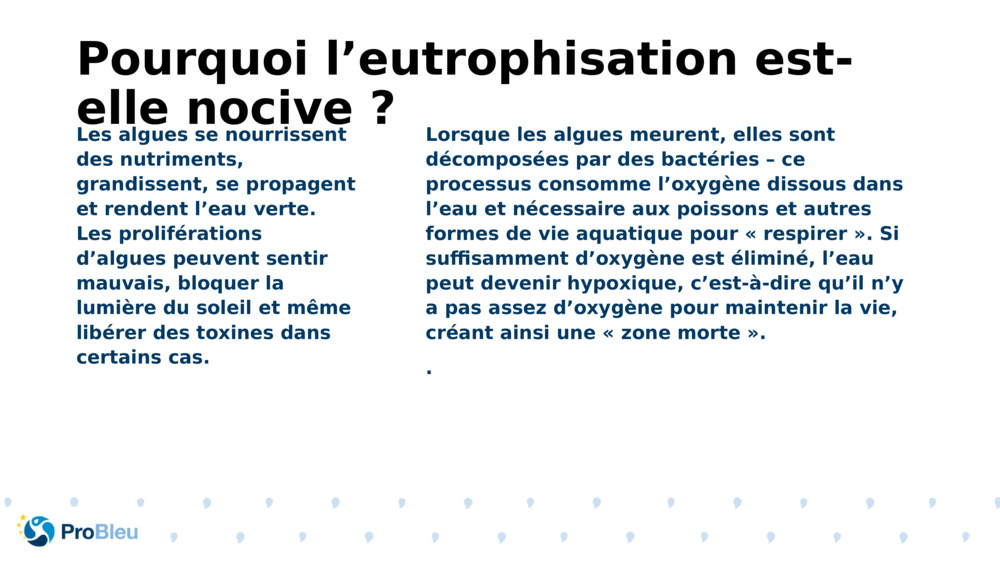 Pourquoi l’eutrophisation est-elle nocive ?