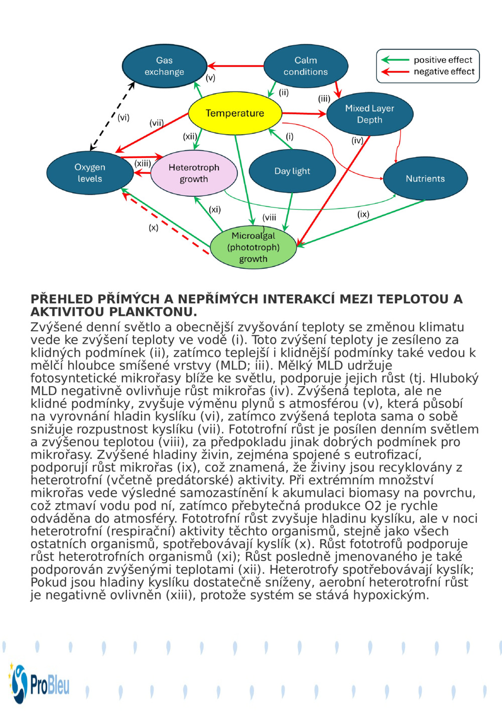 PŘEHLED PŘÍMÝCH A NEPŘÍMÝCH INTERAKCÍ MEZI TEPLOTOU A AKTIVITOU PLANKTONU.