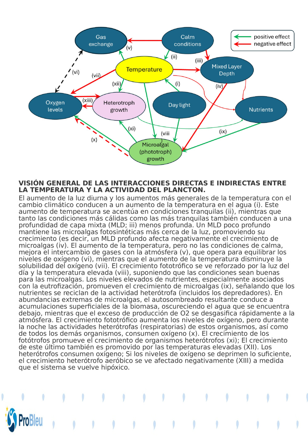 VISIÓN GENERAL DE LAS INTERACCIONES DIRECTAS E INDIRECTAS ENTRE LA TEMPERATURA Y LA ACTIVIDAD DEL PLANCTON.