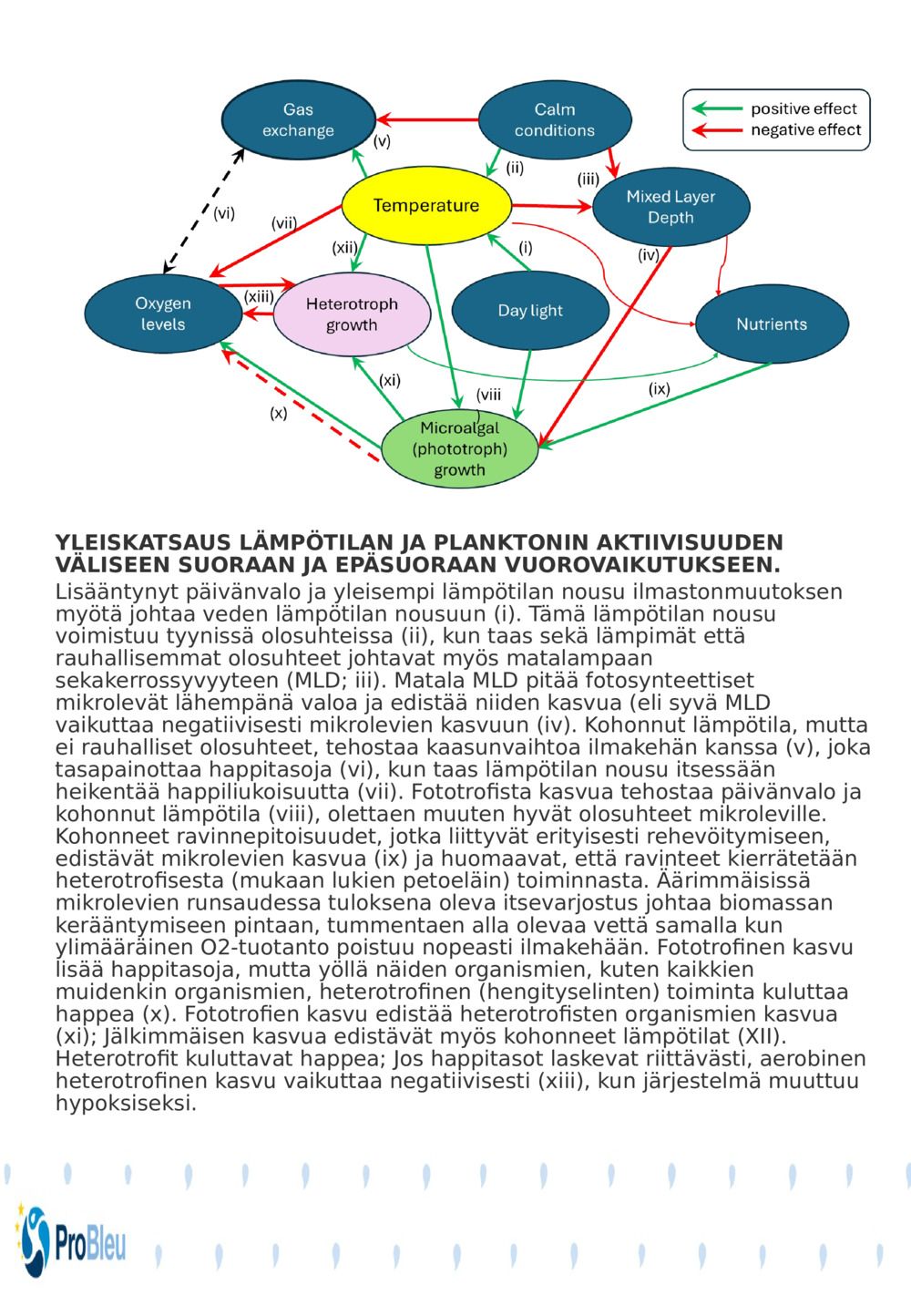 YLEISKATSAUS LÄMPÖTILAN JA PLANKTONIN AKTIIVISUUDEN VÄLISEEN SUORAAN JA EPÄSUORAAN VUOROVAIKUTUKSEEN.