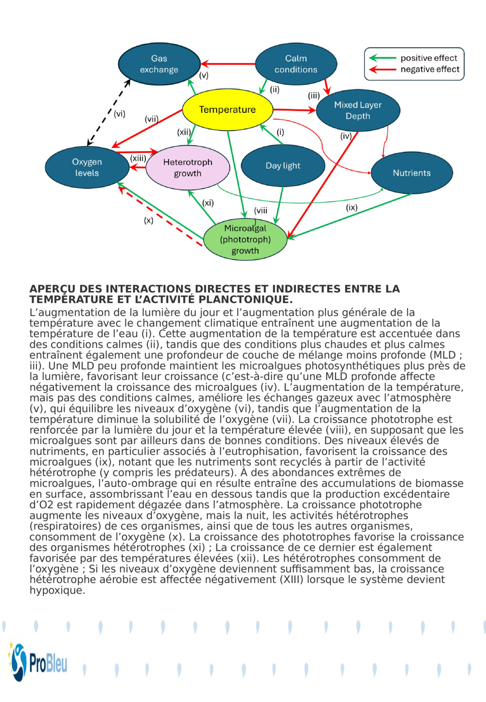 APERÇU DES INTERACTIONS DIRECTES ET INDIRECTES ENTRE LA TEMPÉRATURE ET L’ACTIVITÉ PLANCTONIQUE.