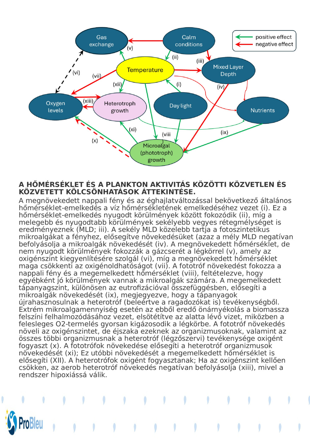 A HŐMÉRSÉKLET ÉS A PLANKTON AKTIVITÁS KÖZÖTTI KÖZVETLEN ÉS KÖZVETETT KÖLCSÖNHATÁSOK ÁTTEKINTÉSE.