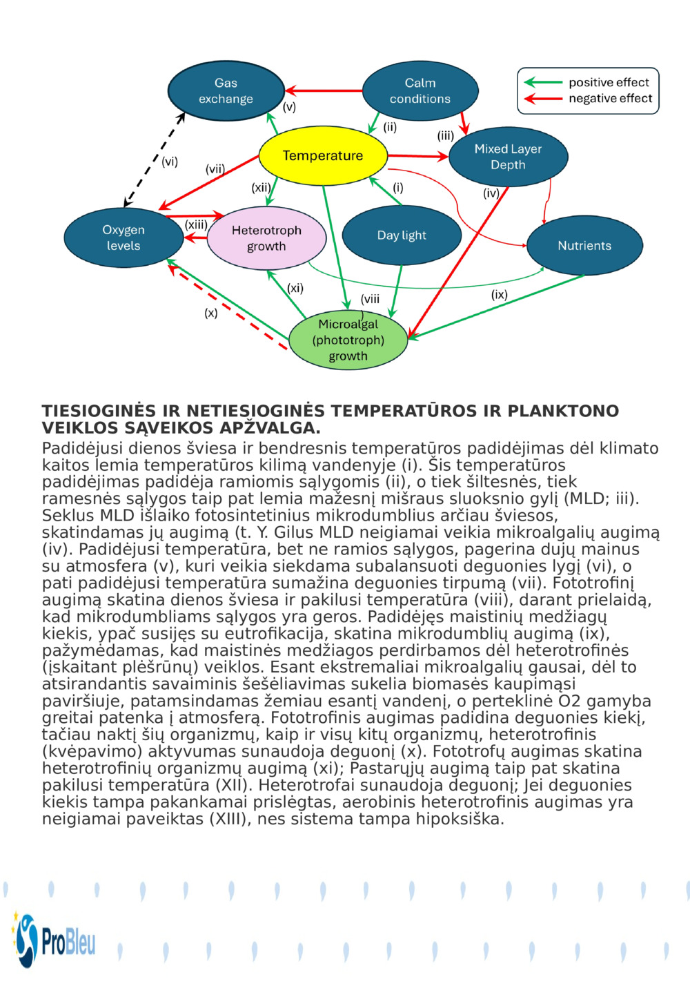 TIESIOGINĖS IR NETIESIOGINĖS TEMPERATŪROS IR PLANKTONO VEIKLOS SĄVEIKOS APŽVALGA.