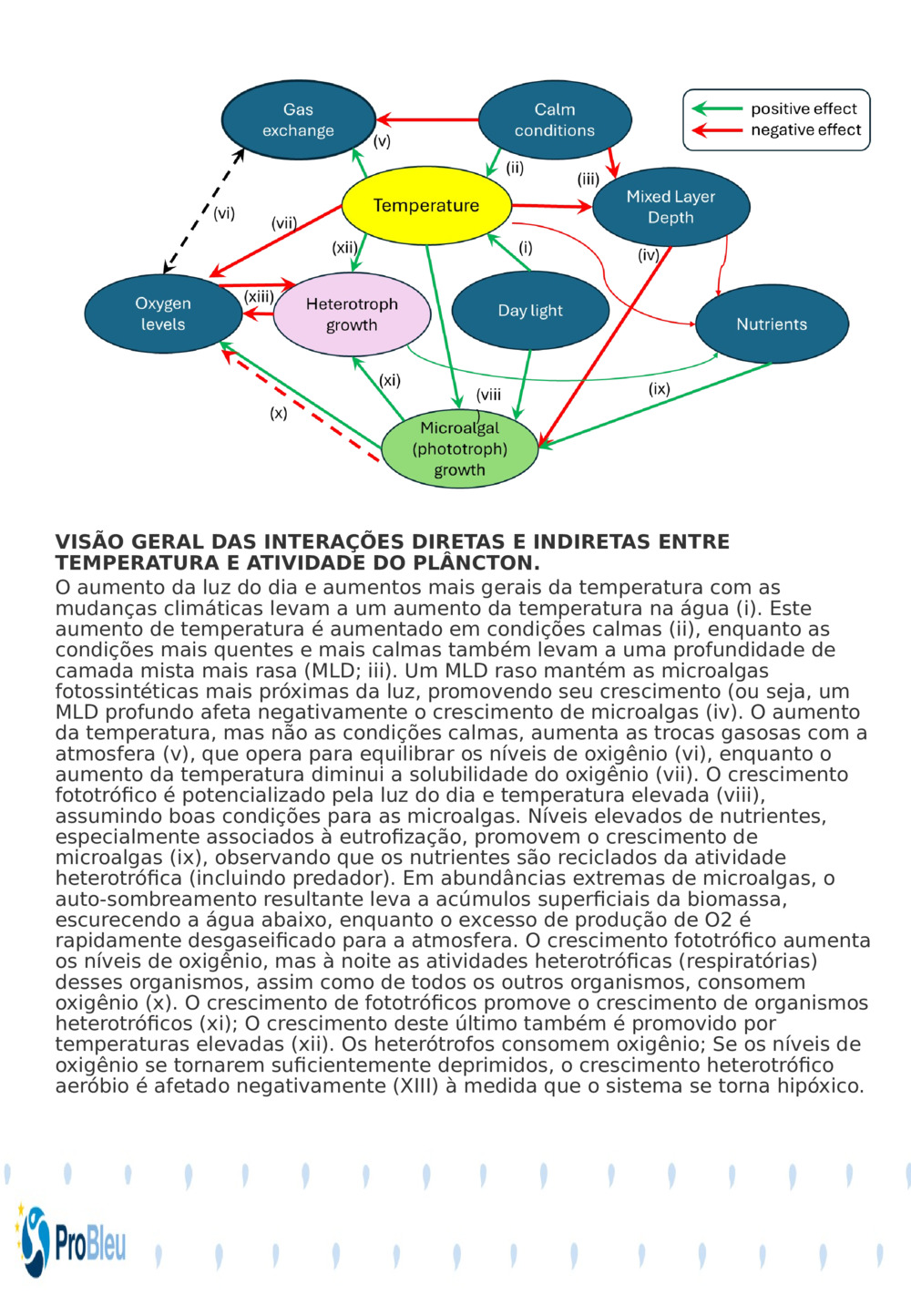 VISÃO GERAL DAS INTERAÇÕES DIRETAS E INDIRETAS ENTRE TEMPERATURA E ATIVIDADE DO PLÂNCTON.
