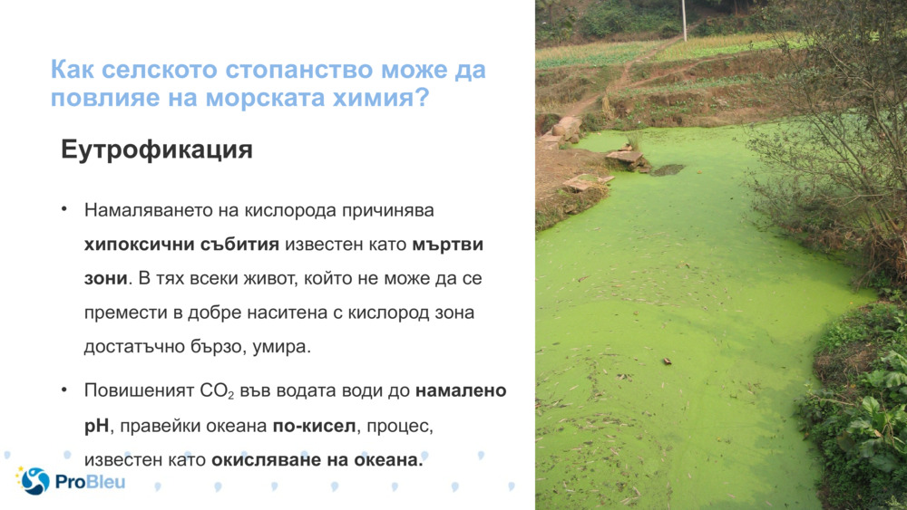 Как селското стопанство може да повлияе на морската химия?