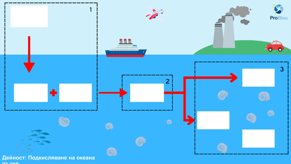 Дейност: Подкисляване на океана пъзел