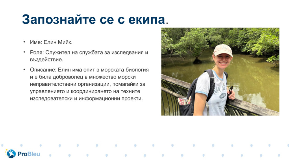 Име: Елин Мийк