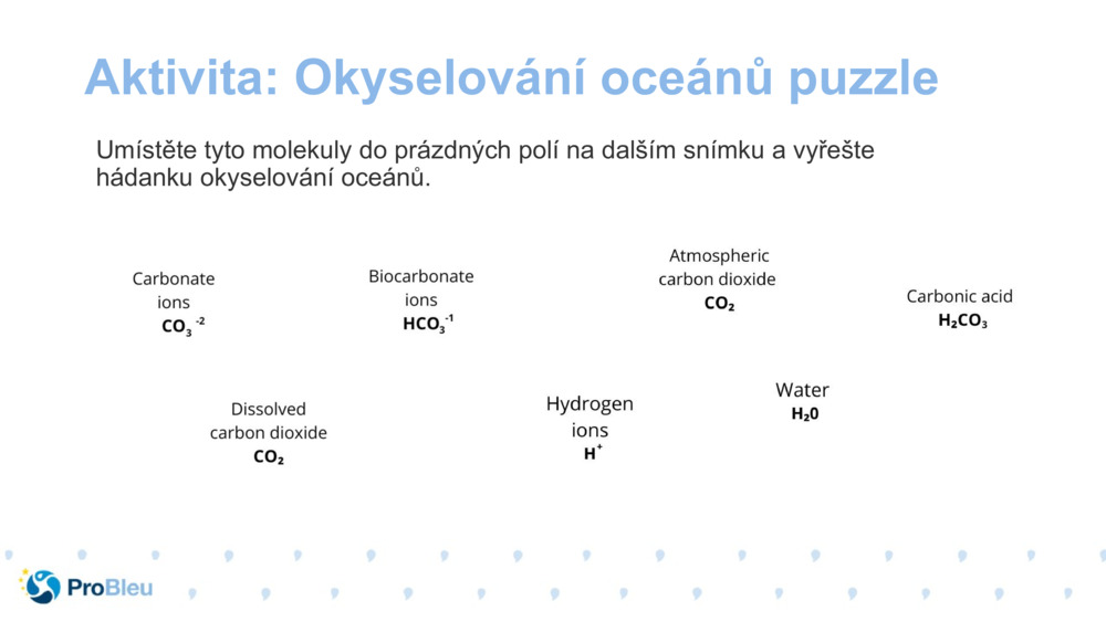 Aktivita: Okyselování oceánů puzzle
