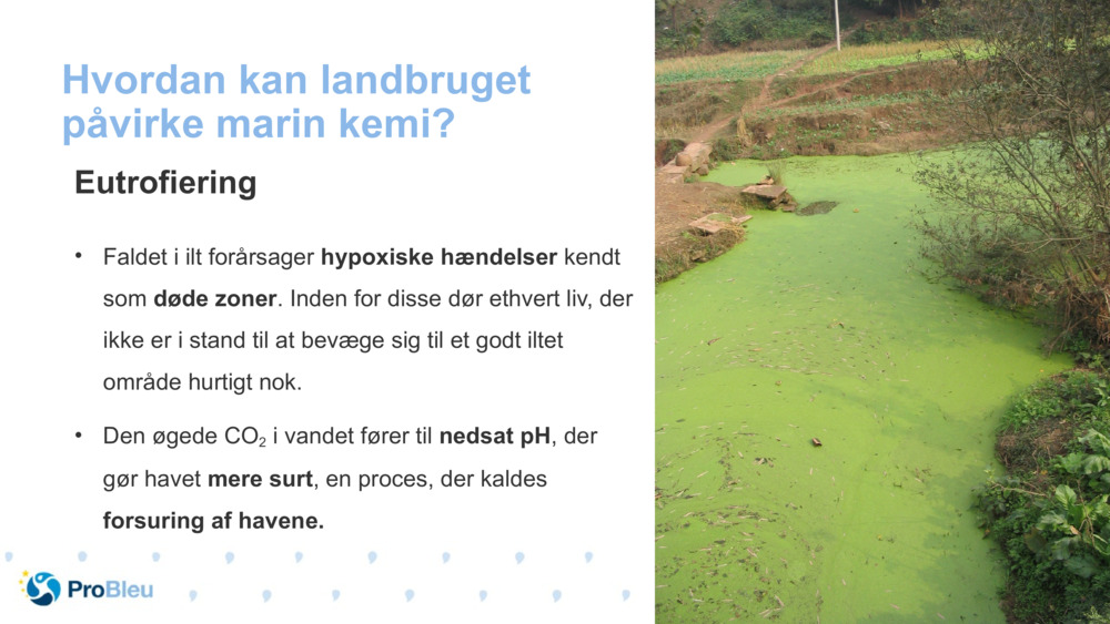 Hvordan kan landbruget påvirke marin kemi?