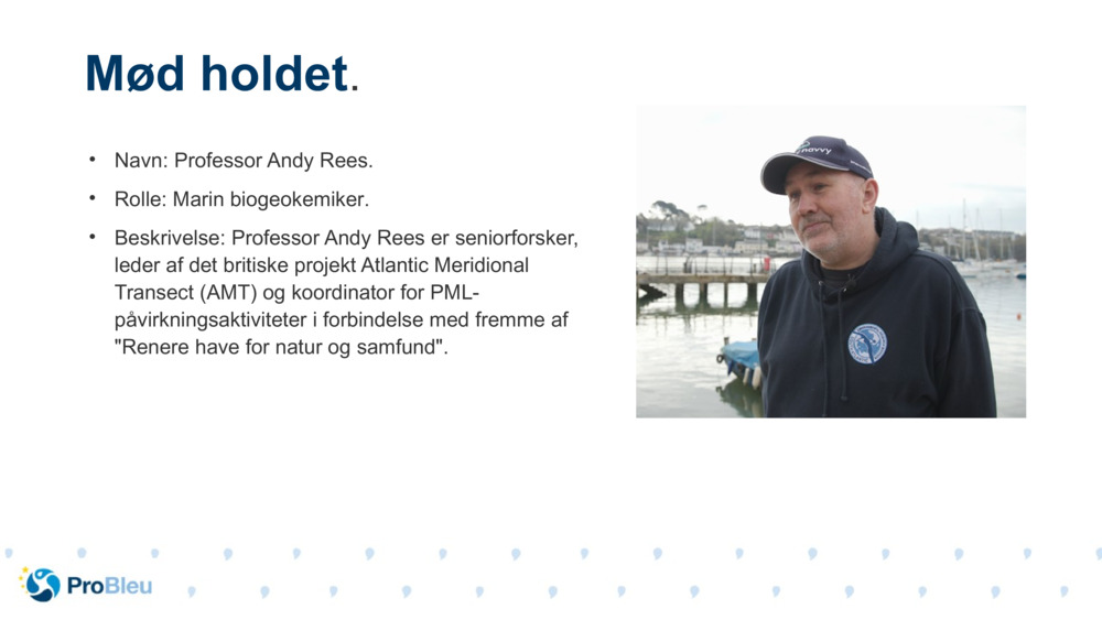 Navn: Professor Andy Rees