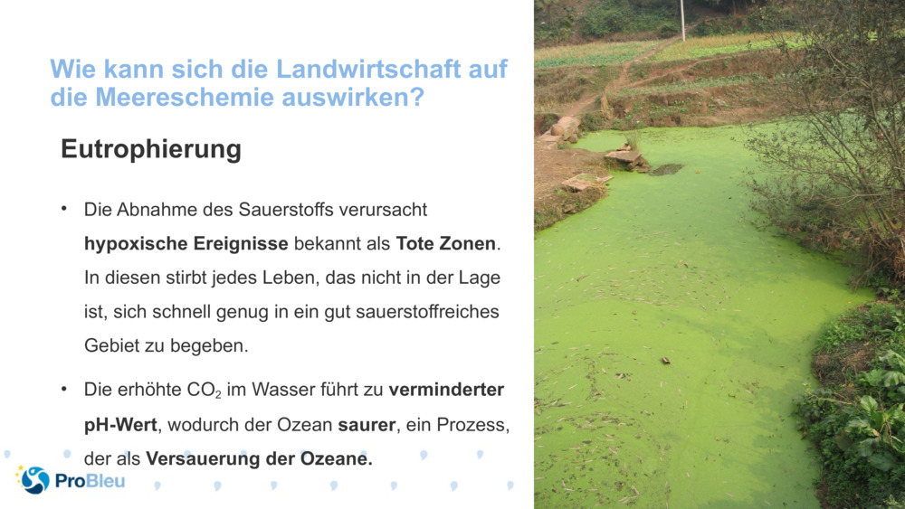 Wie kann sich die Landwirtschaft auf die Meereschemie auswirken?