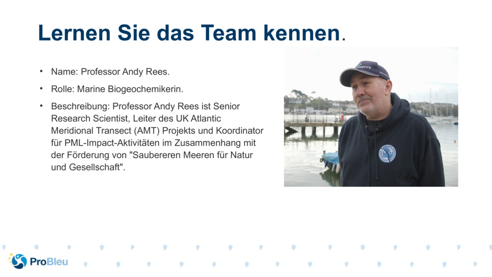 Name: Professor Andy Rees