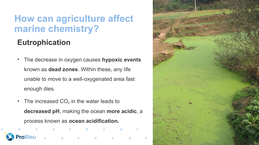 How can agriculture affect marine chemistry?